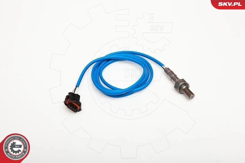 Oxygen Sensor